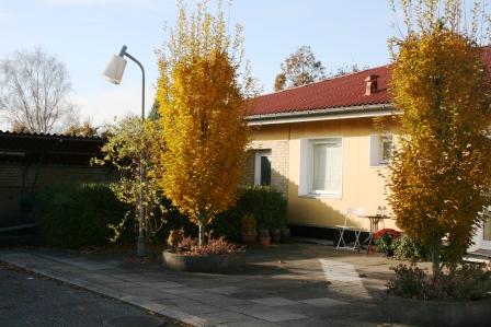 D.S.I. Nordjysk Handelskollegium