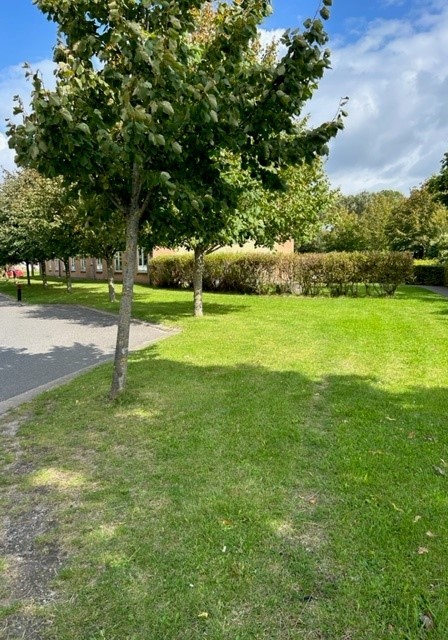 DSI Blegkilde Kollegiet