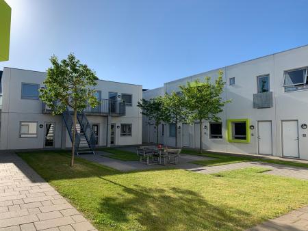 Universitets Kollegiet