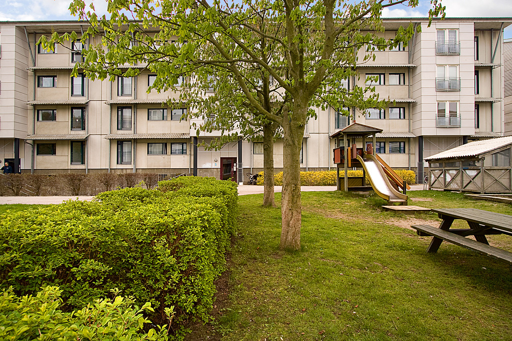 Egedalsvænge