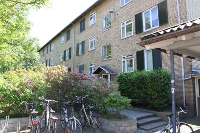 Folehaven – Midlertidige boliger