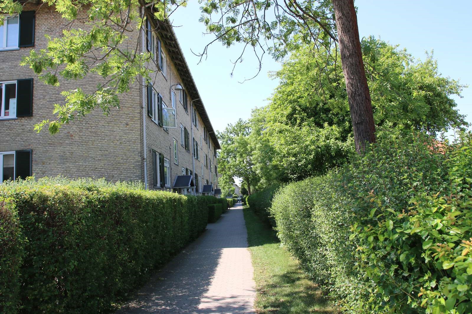 Folehaven – Midlertidige boliger