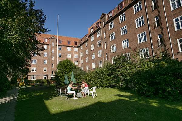 Limgården
