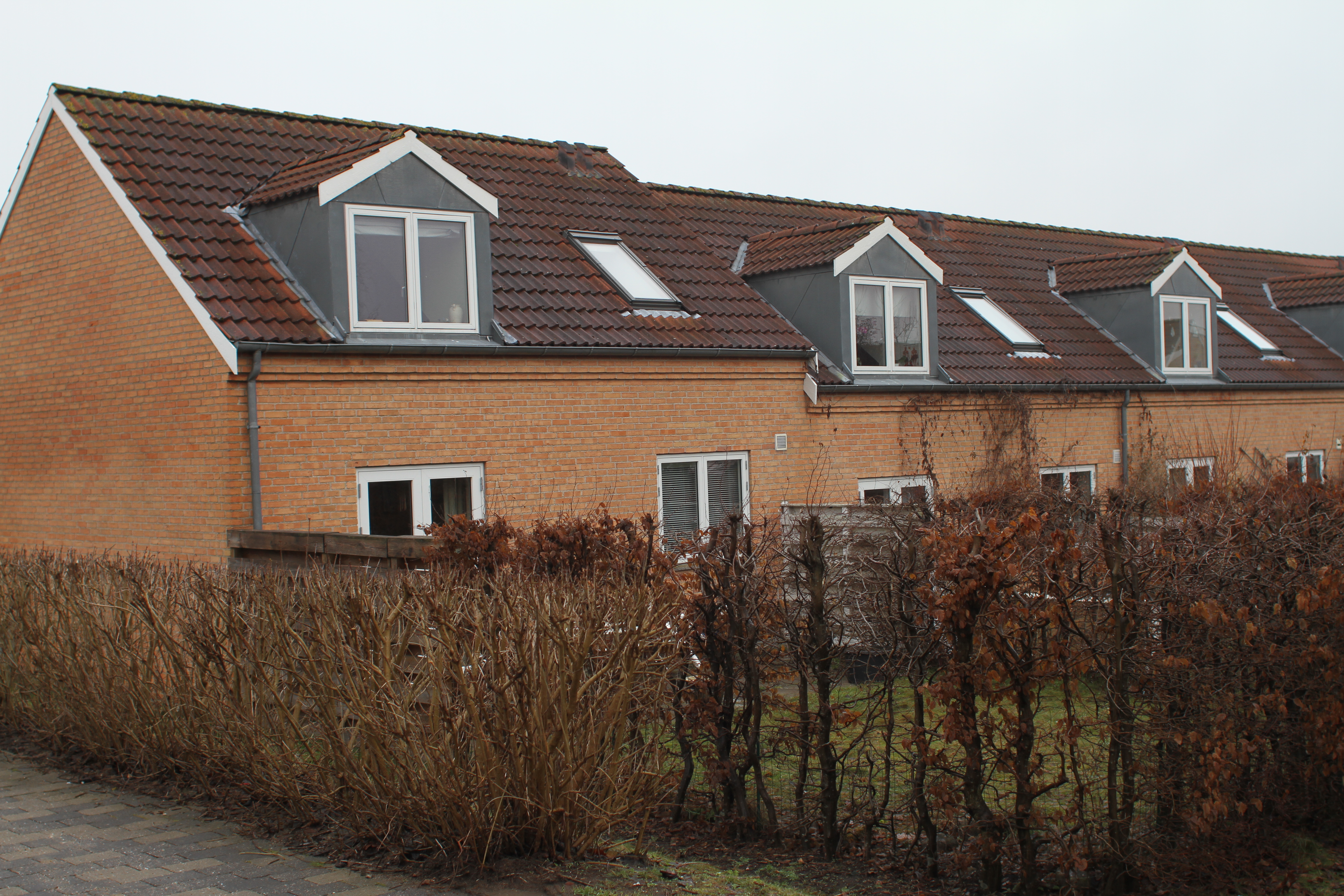 Mølleengen