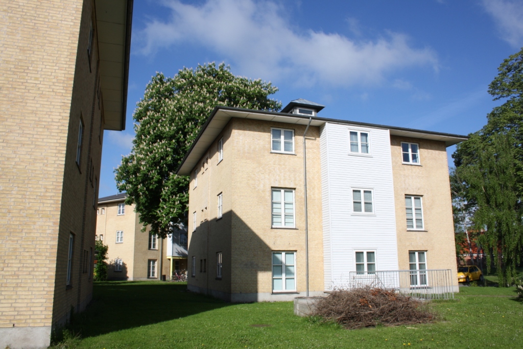 Duebrødre Kollegiet