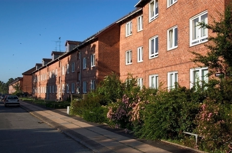 Lollikhuse