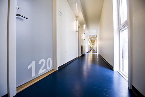 Kollegiet Tingbjerg