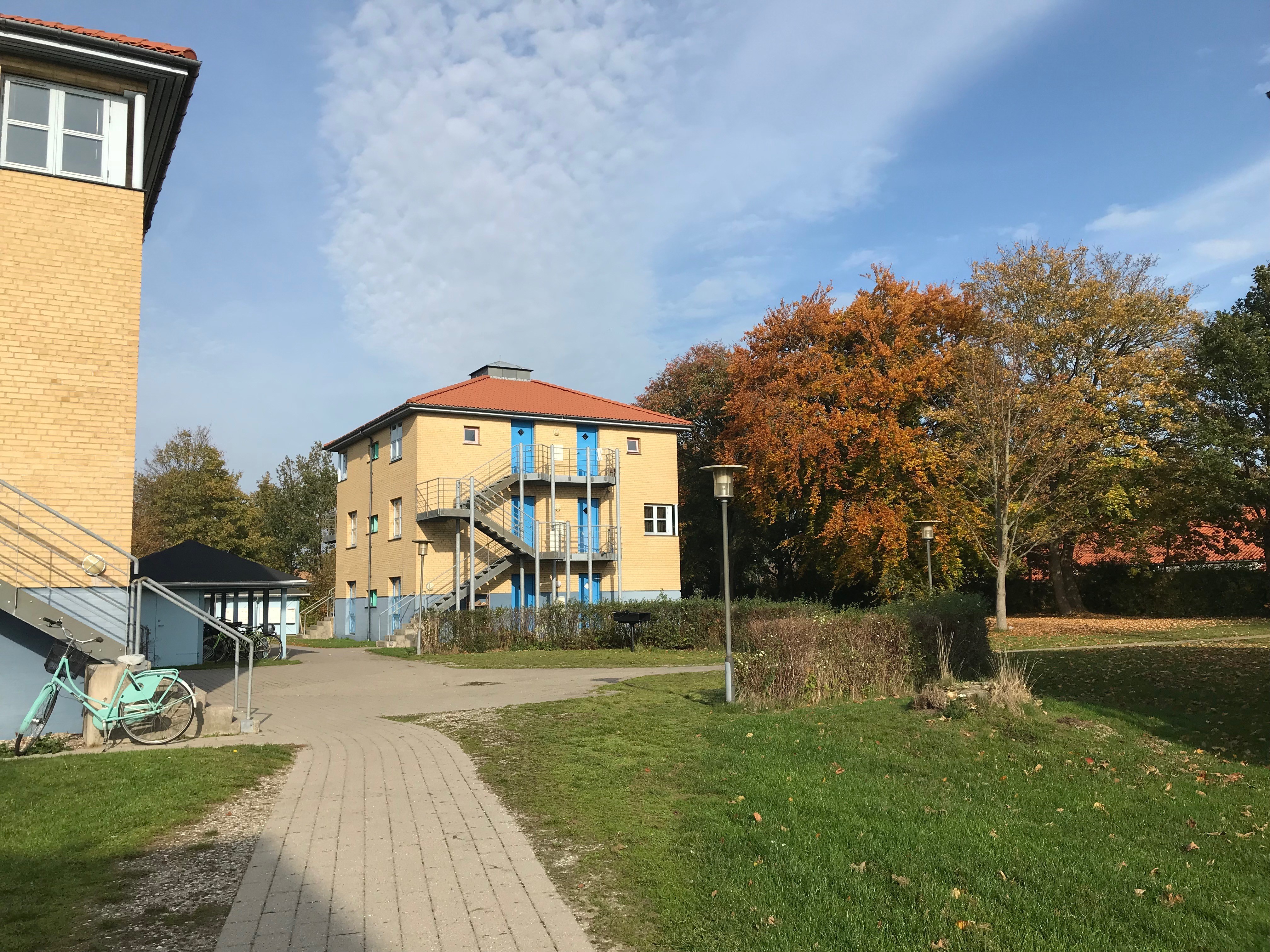 Ravnsholt