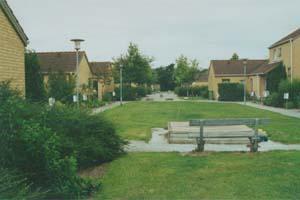 afd. 19, Mælkehatten