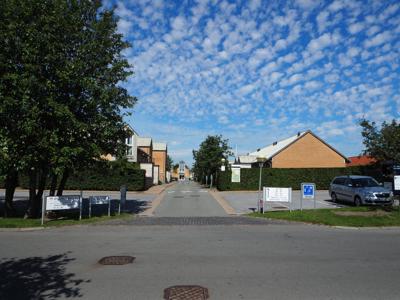 RØNNEHEGNET