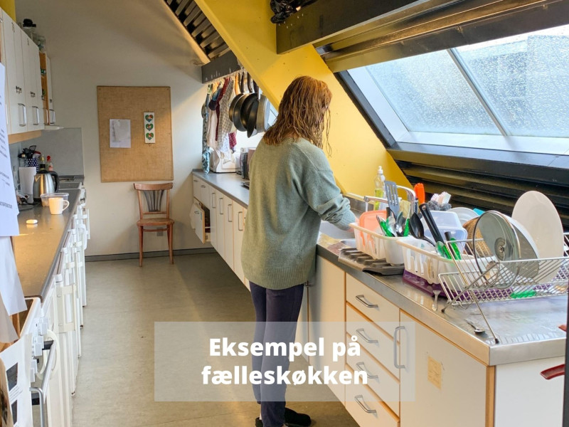 Skjoldhøjkollegiet