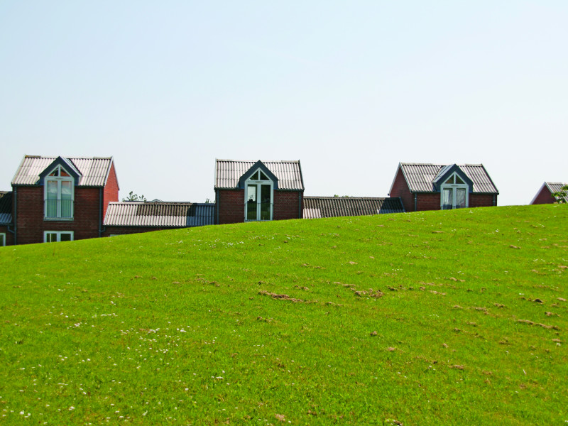 Solbærhaven
