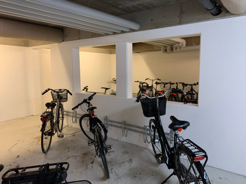 Svane Kollegiet