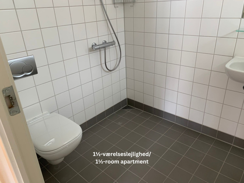 Svane Kollegiet
