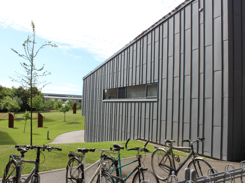 Svane Kollegiet