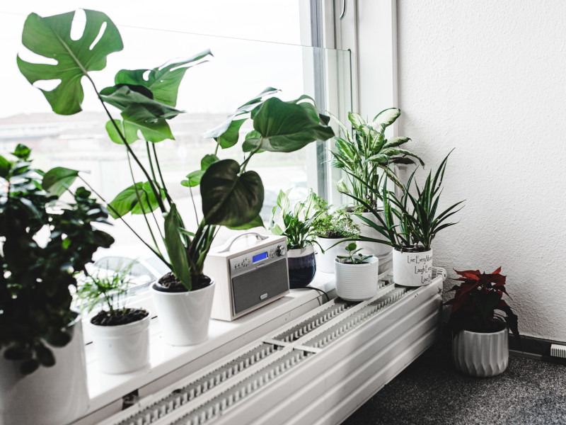 Vilh. Kiers Kollegium