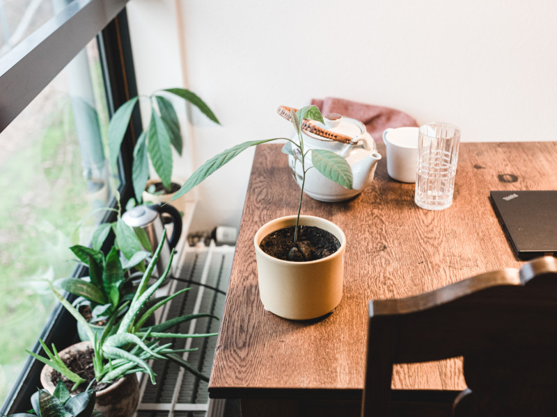 Vilh. Kiers Kollegium