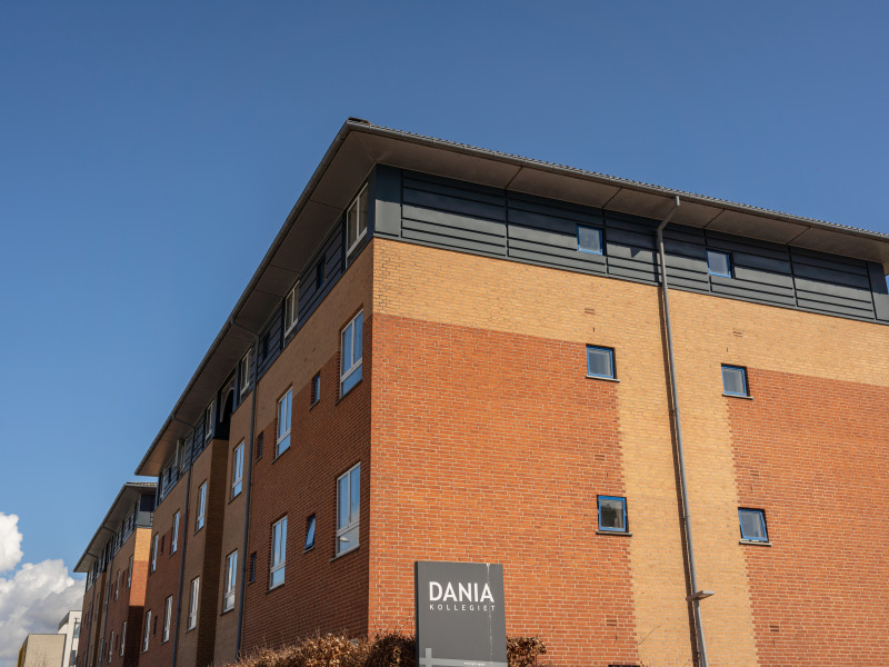 Dania Kollegiet