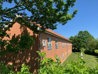 Engskovbakken