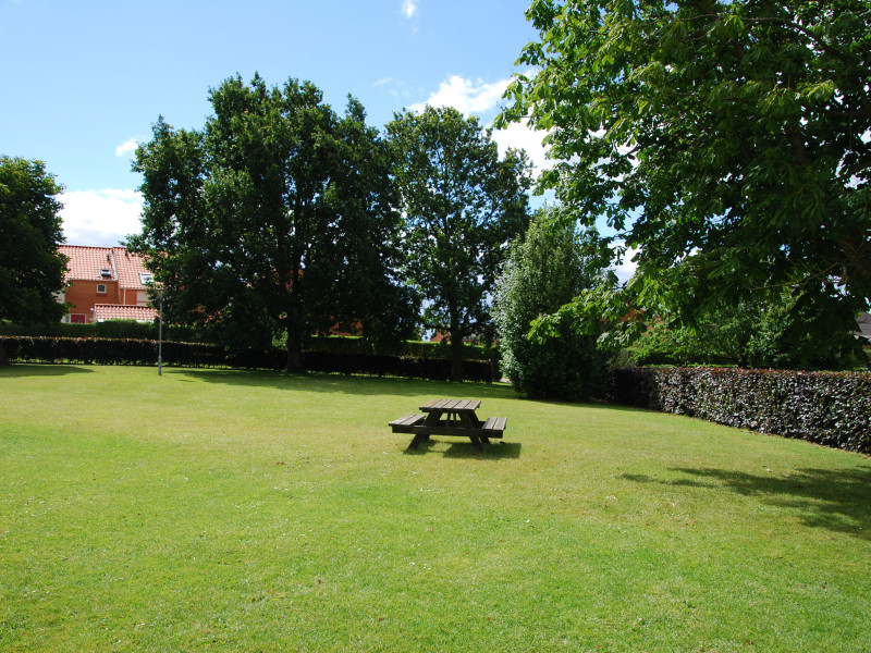 Kirsebærhaven